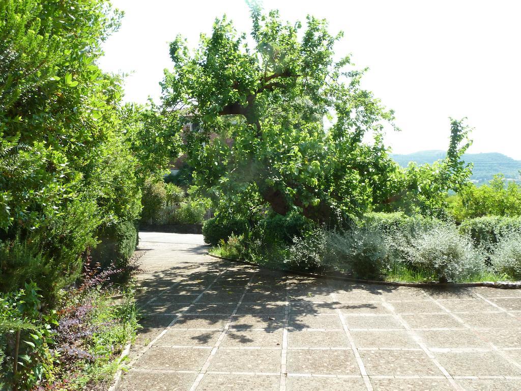 Agriturismo La Vecchia Quercia San Cipriano Picentino Chambre photo