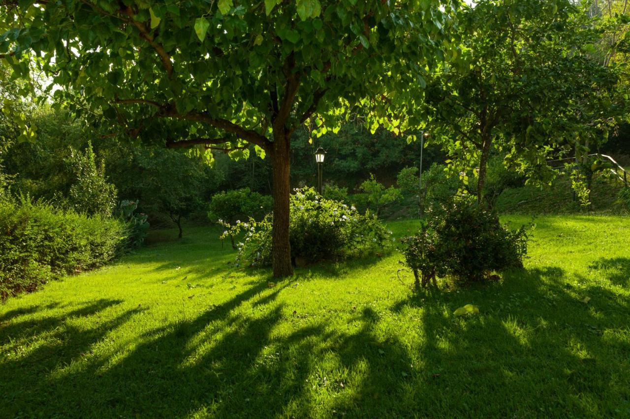 Agriturismo La Vecchia Quercia San Cipriano Picentino Extérieur photo